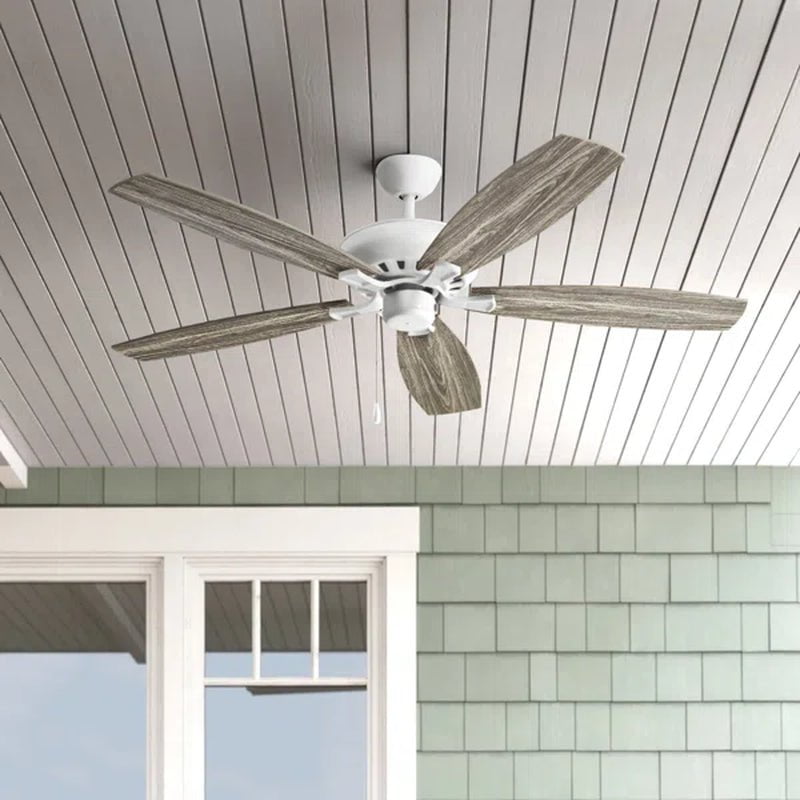 Hoehne 60'' Ceiling Fan