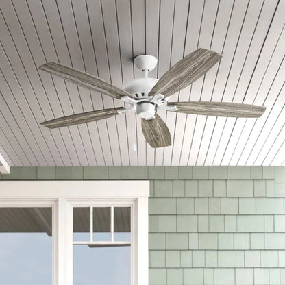 Hoehne 60'' Ceiling Fan