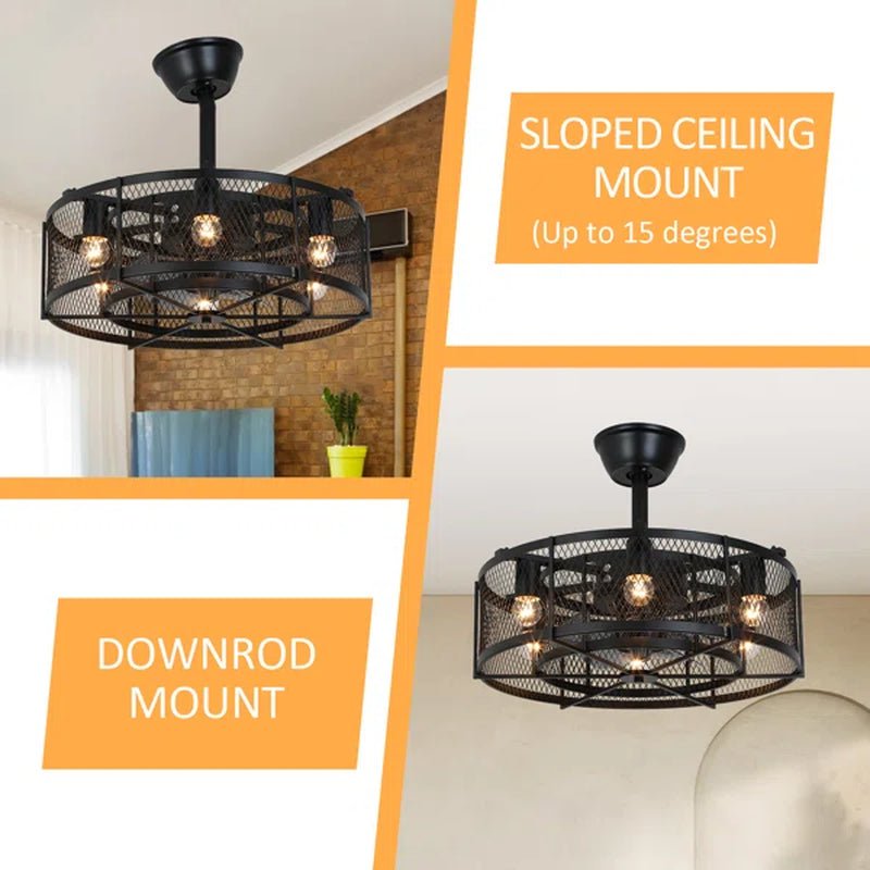 Sasheen 19.6'' 5 - Blade Caged Ceiling Fan with Remote Control