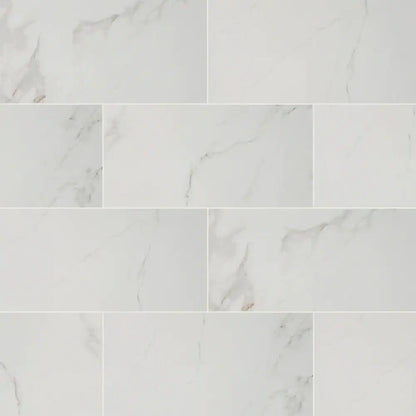 Carrara 12 In. X 24 In. Polished Porcelain Stone Look Floor and Wall Tile (16 Sq. Ft./Case)