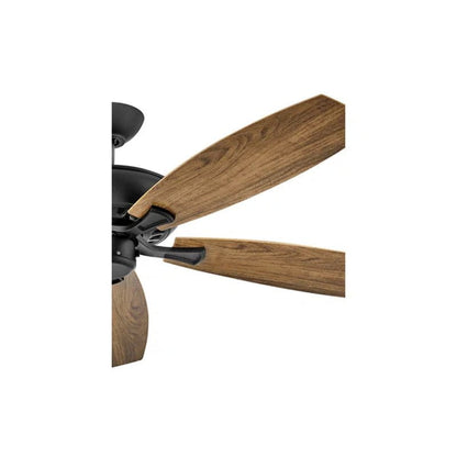 Hoehne 60'' Ceiling Fan