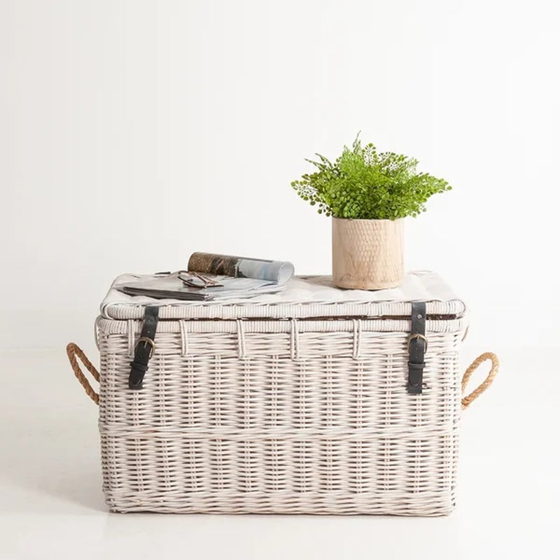 Salisbury 2 Piece Trunk Set