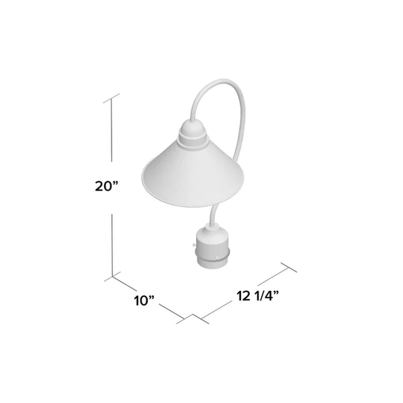 Callery Lantern Head