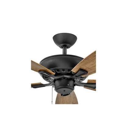 Hoehne 60'' Ceiling Fan
