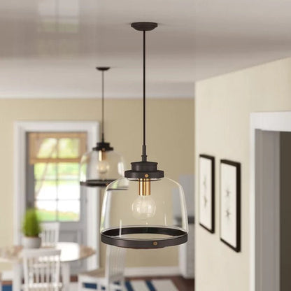 Lupe 1 - Light Single Schoolhouse Pendant